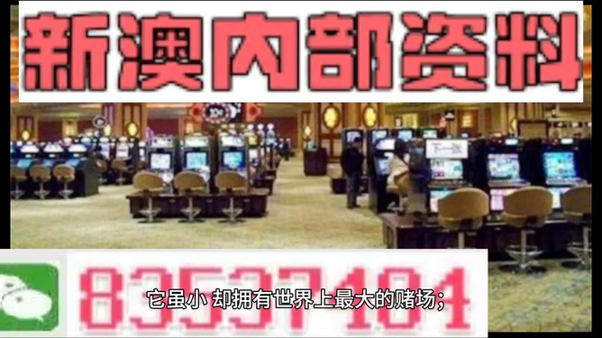2024澳门正版精准资料|精选解释解析落实