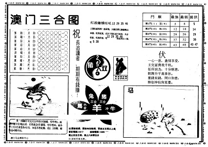 2024新澳门精准正版资料大全|精选解释解析落实