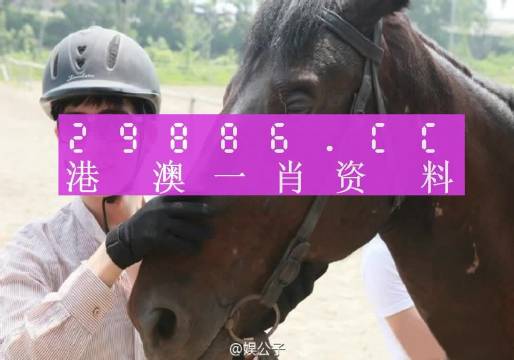 澳门一肖一码必中一肖一码｜精选解释解析落实