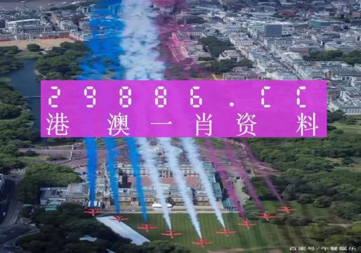澳门王中王一肖一码一中｜精选解释解析落实