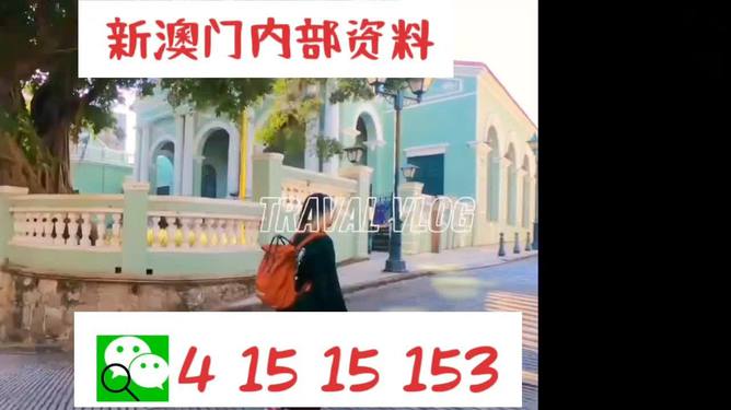 澳门九点半9点半网站｜精选解释解析落实